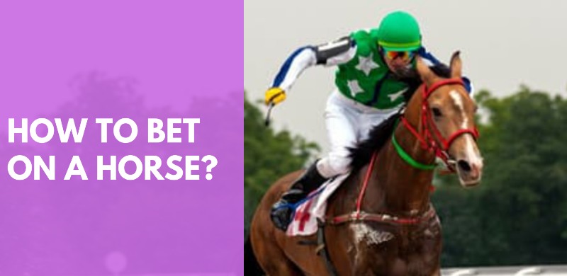 how to bet on horse races